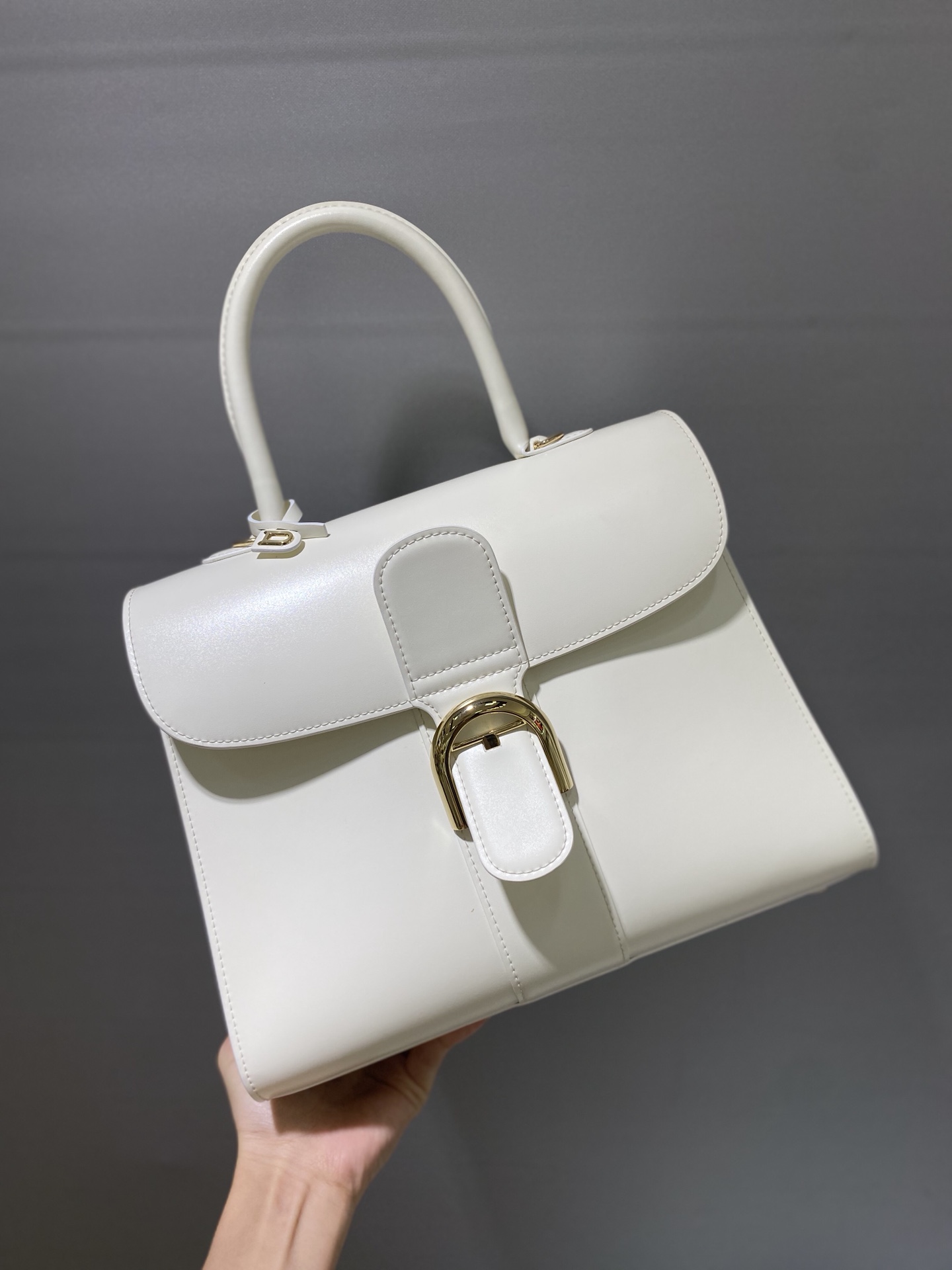 델보 브리앙 박스백 미듐